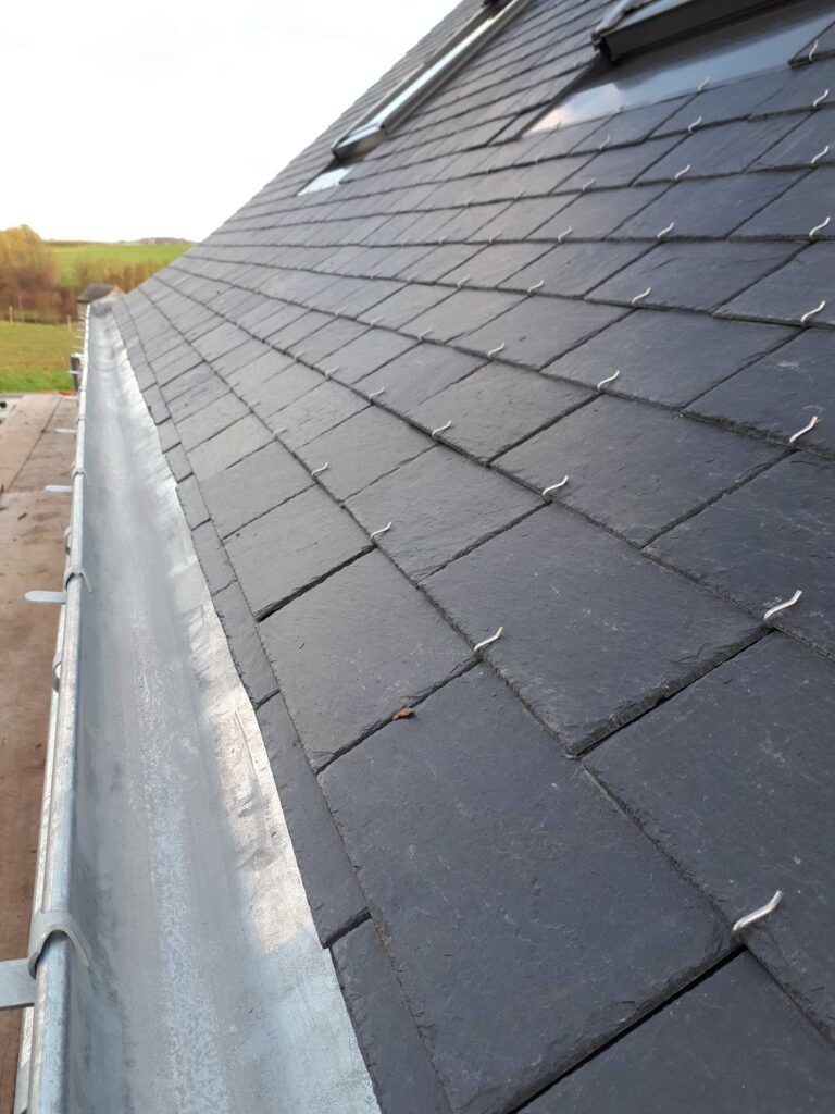 53570998_2325380374348971_7859620925673570304_n