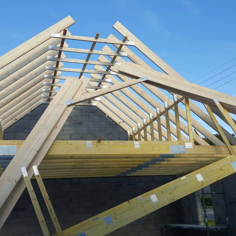 494675122_4093780750842249_4046385999945428912_n