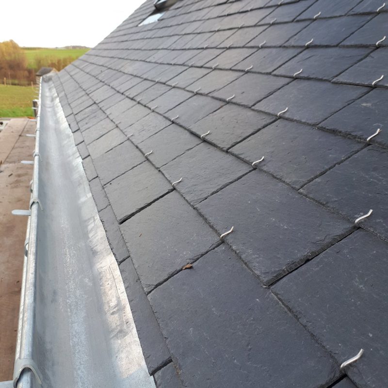 53570998_2325380374348971_7859620925673570304_n