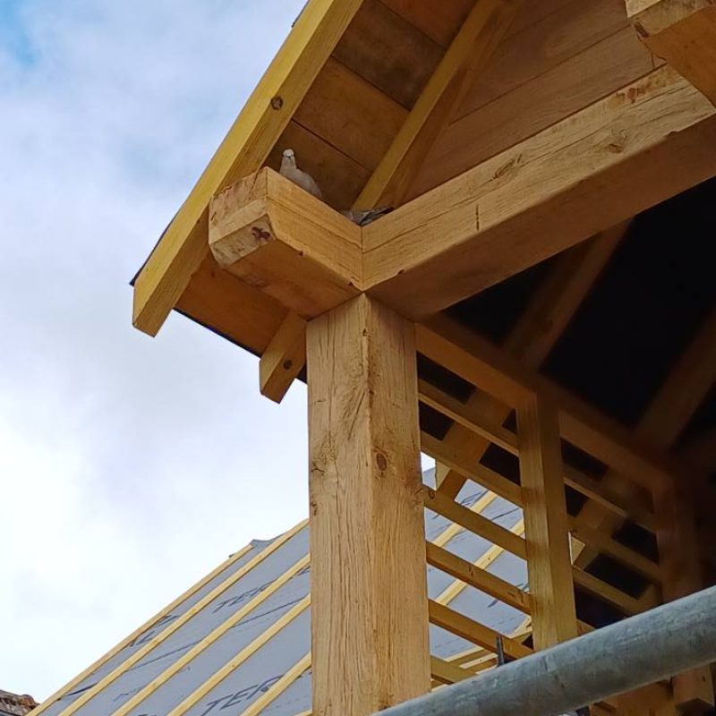 540753789_1281126820471902_9221533904866028648_n